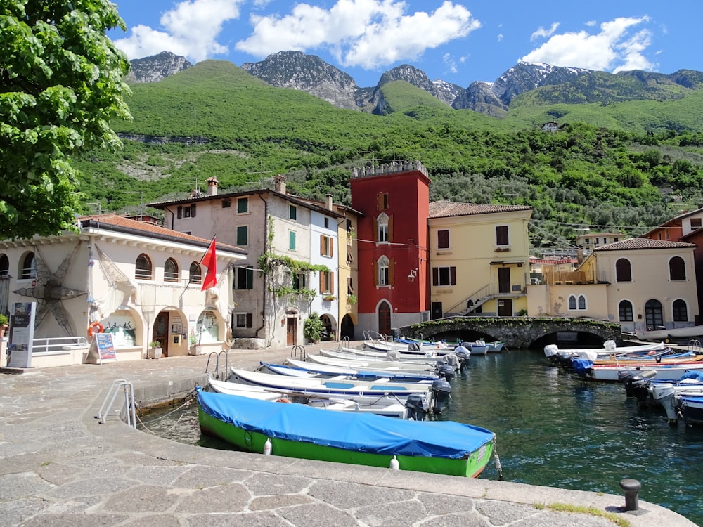 blue and white boats on body of water near houses during daytime