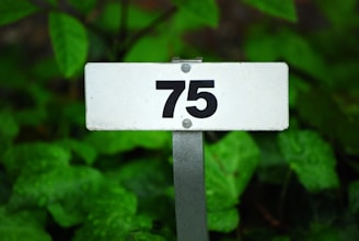 white and black 2 signage