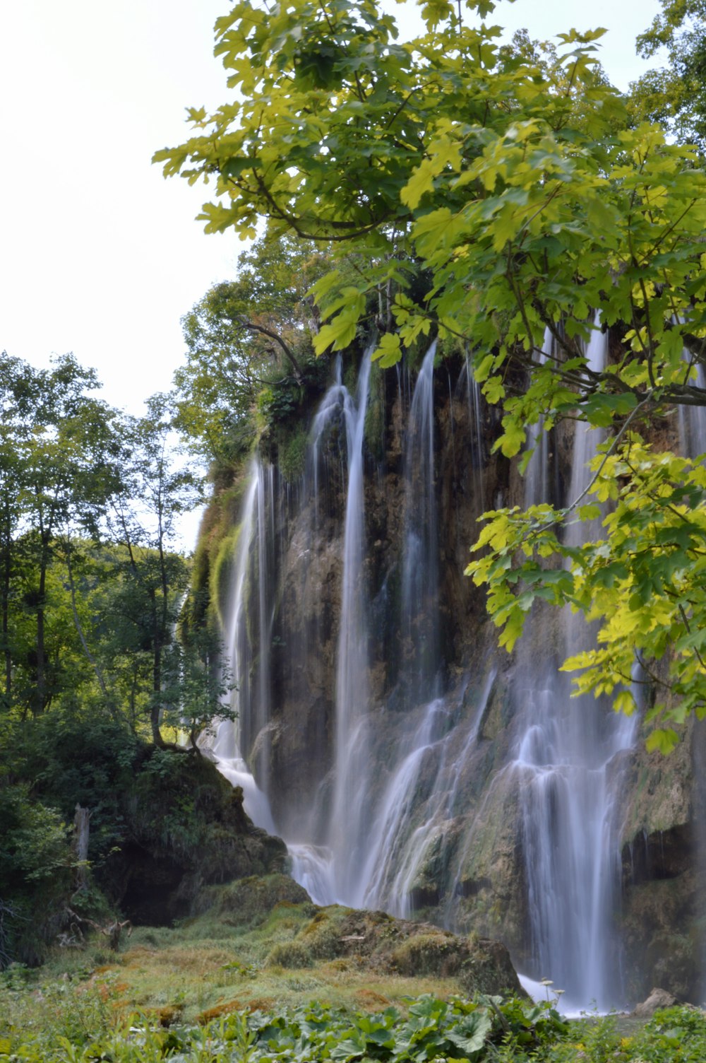 Wasserfälle mitten im Wald tagsüber