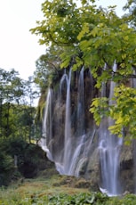 waterfalls in the middle of the forest during daytime