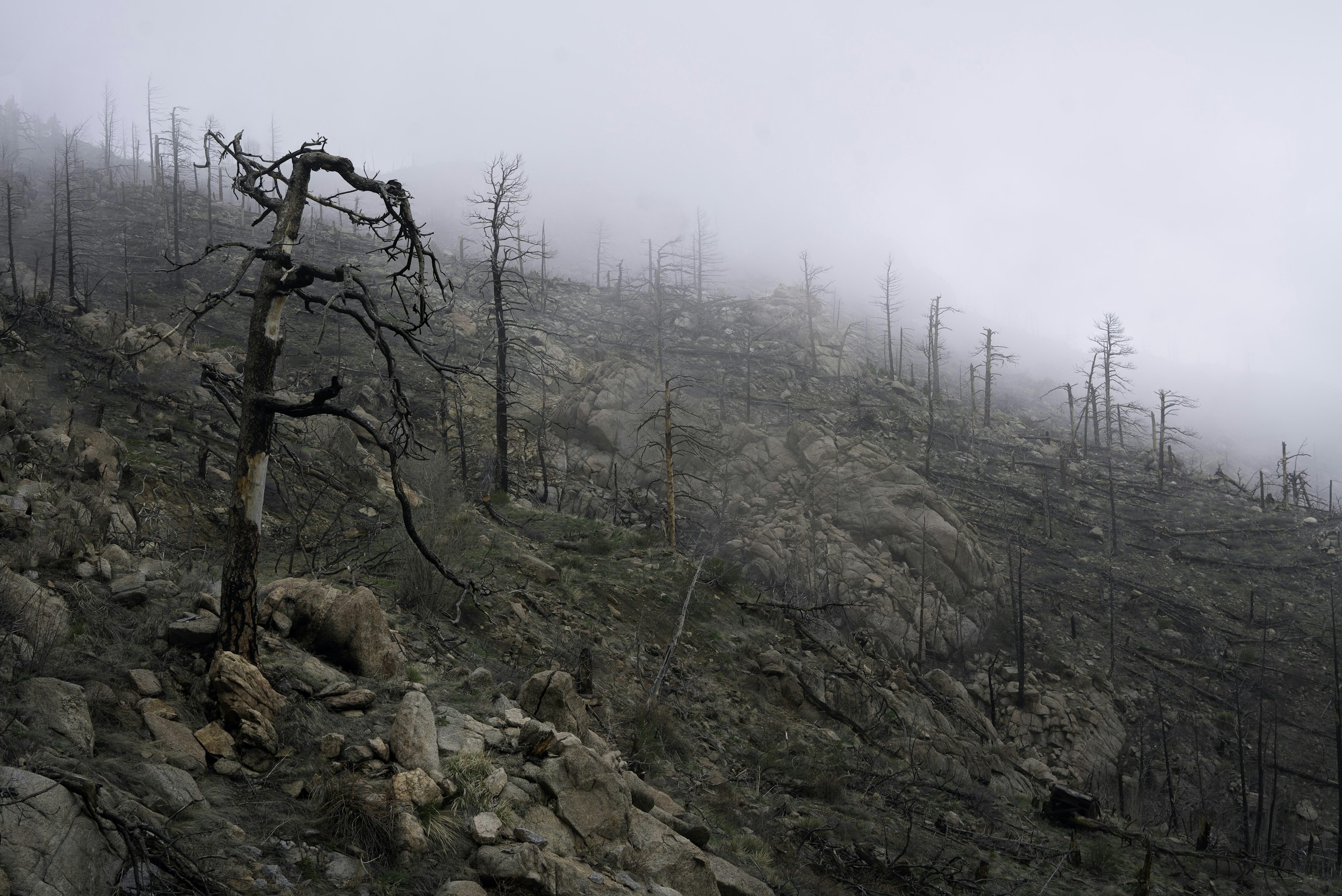 US Forest Service Burn Started Wildfire That Nearly Reached Los Alamos, New Mexico, Agency Says