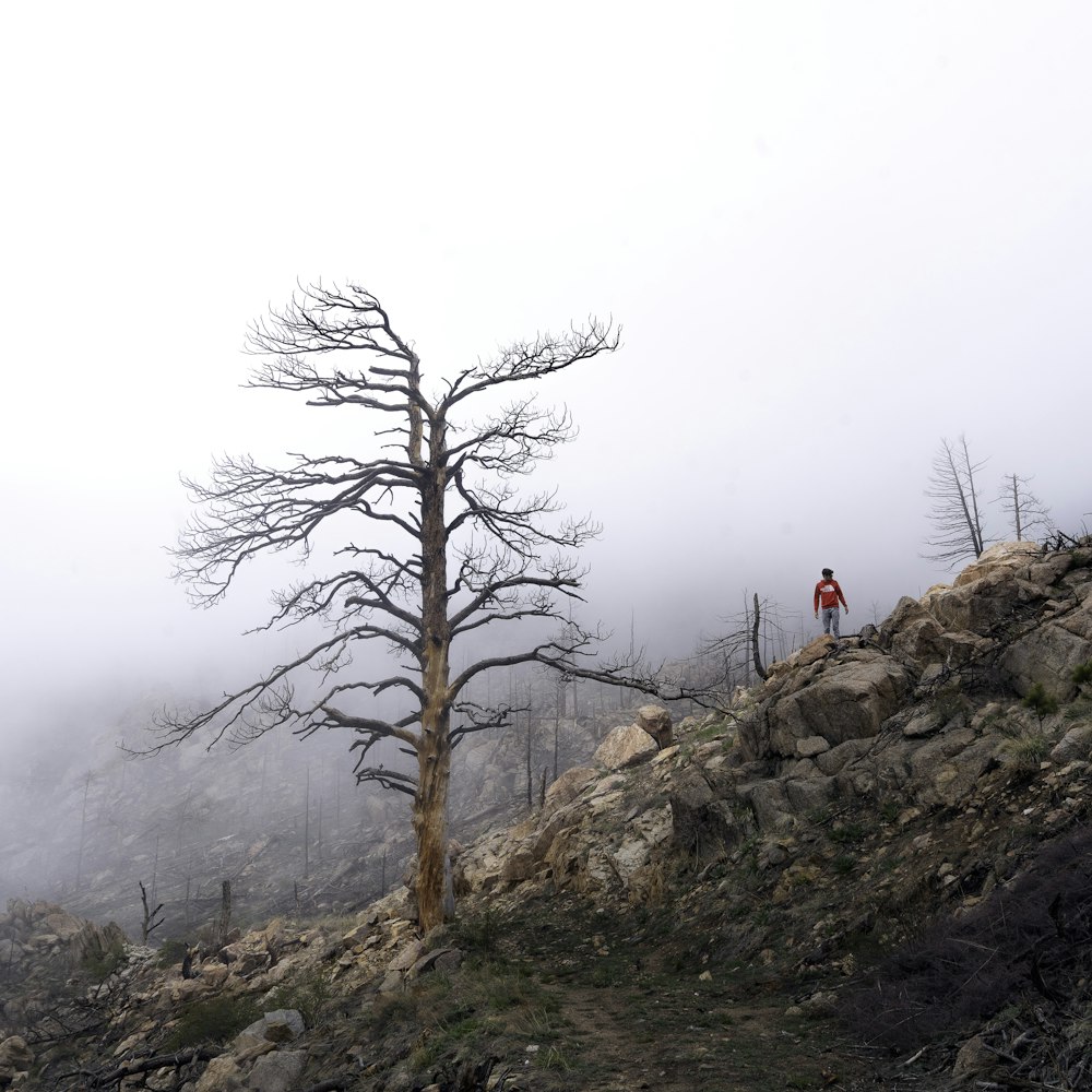 person in red jacket standing on gray rock formation during foggy weather