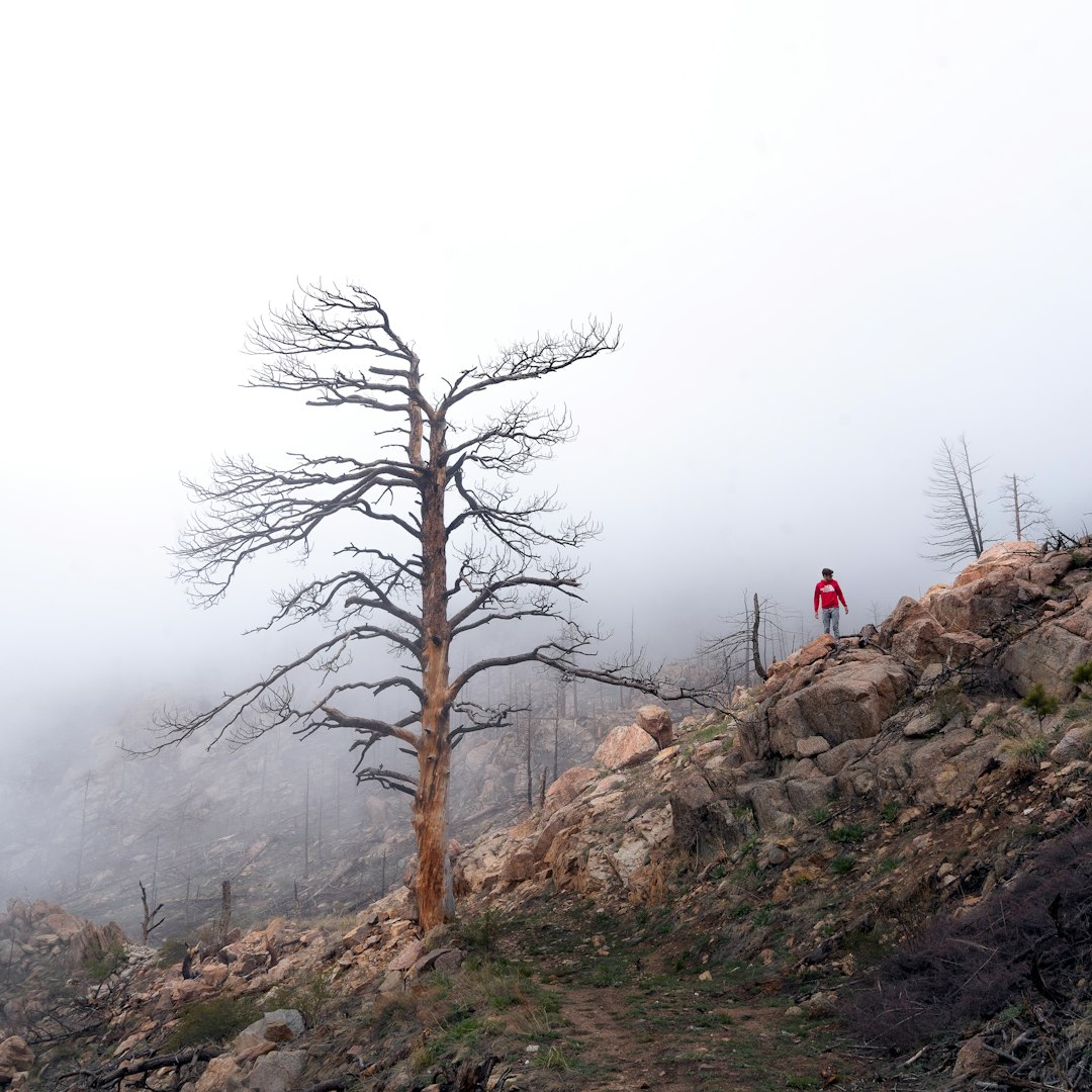 person in red jacket standing on gray rock formation during foggy weather