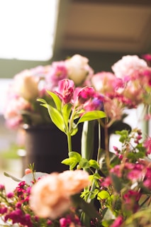 pink and white flowers in black ceramic vase