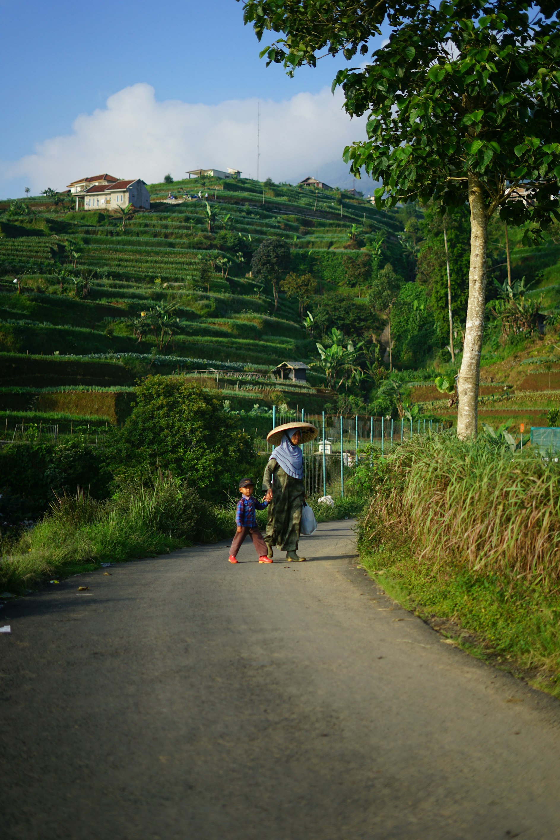 Gunung Gede Pangrango National Park, Sukabumi, Indonesia