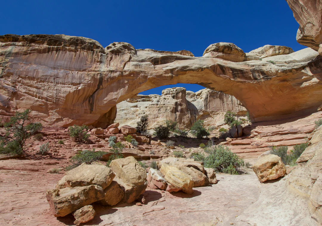 Hickman Bridge Trail