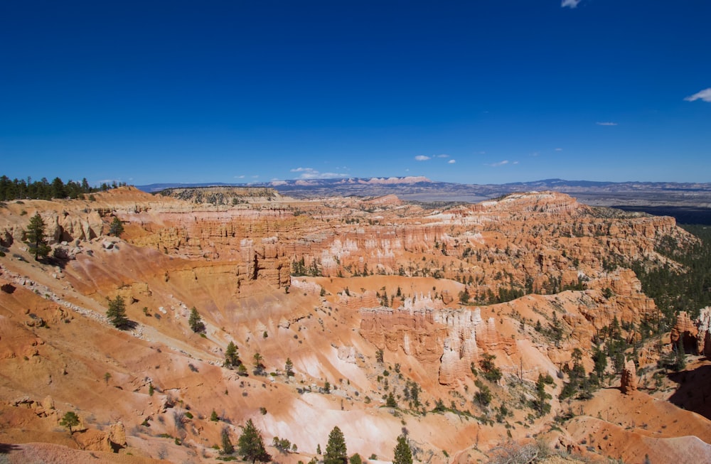 brown and green trees on brown mountain under blue sky during daytime