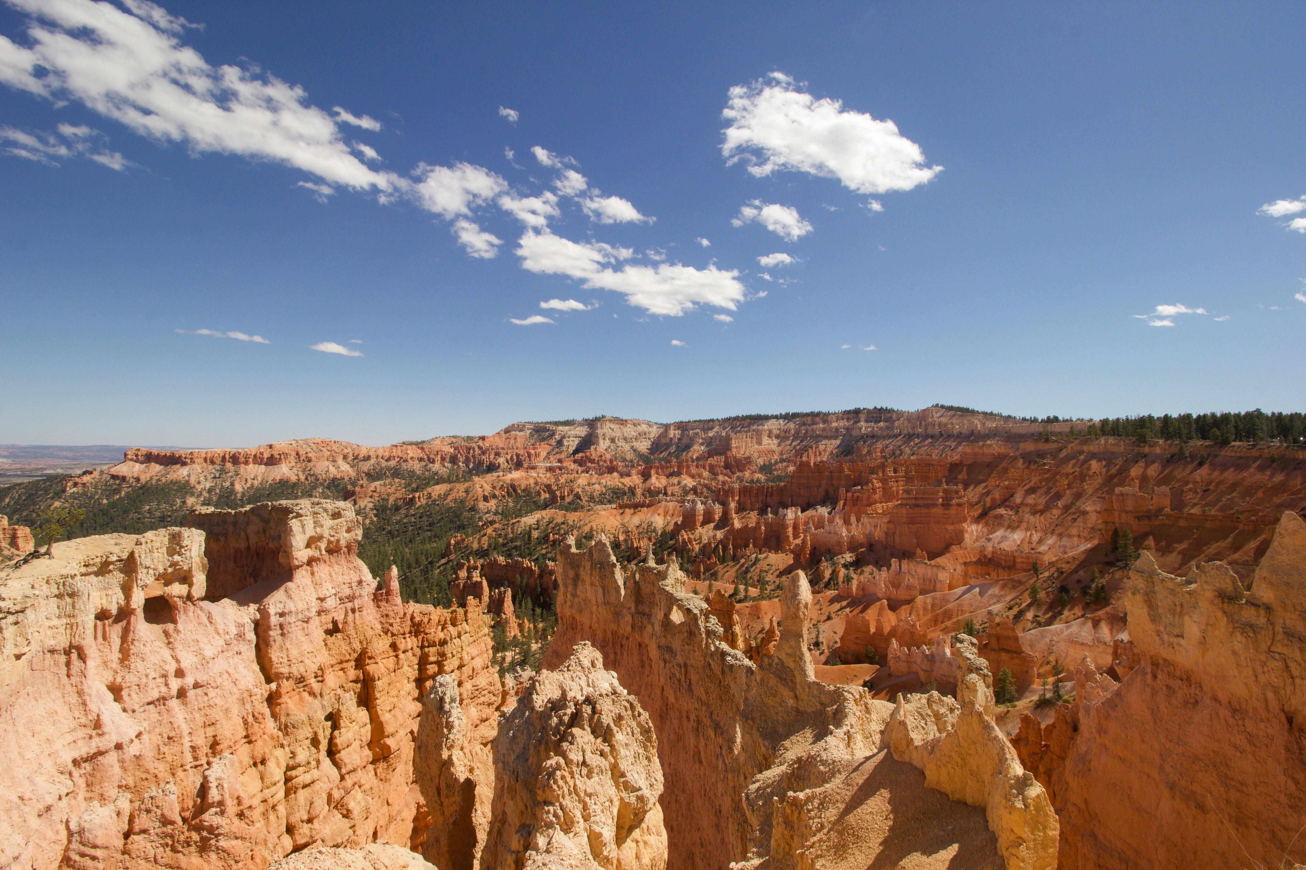 Photo by leslie_outofdoors