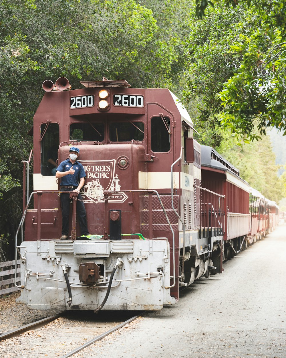 red and blue train on rail tracks