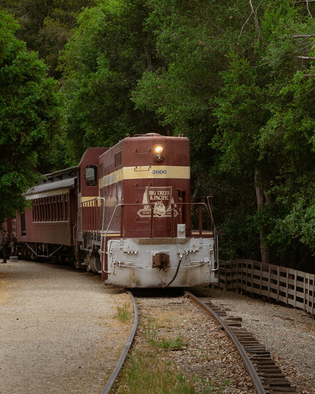 red and brown train on rail tracks