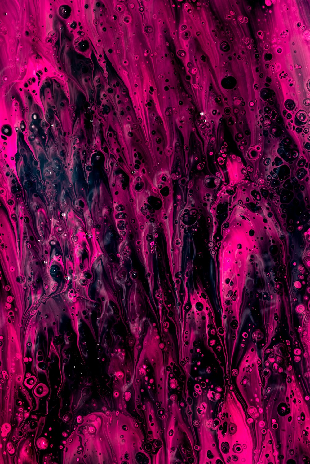 purple and pink light illustration