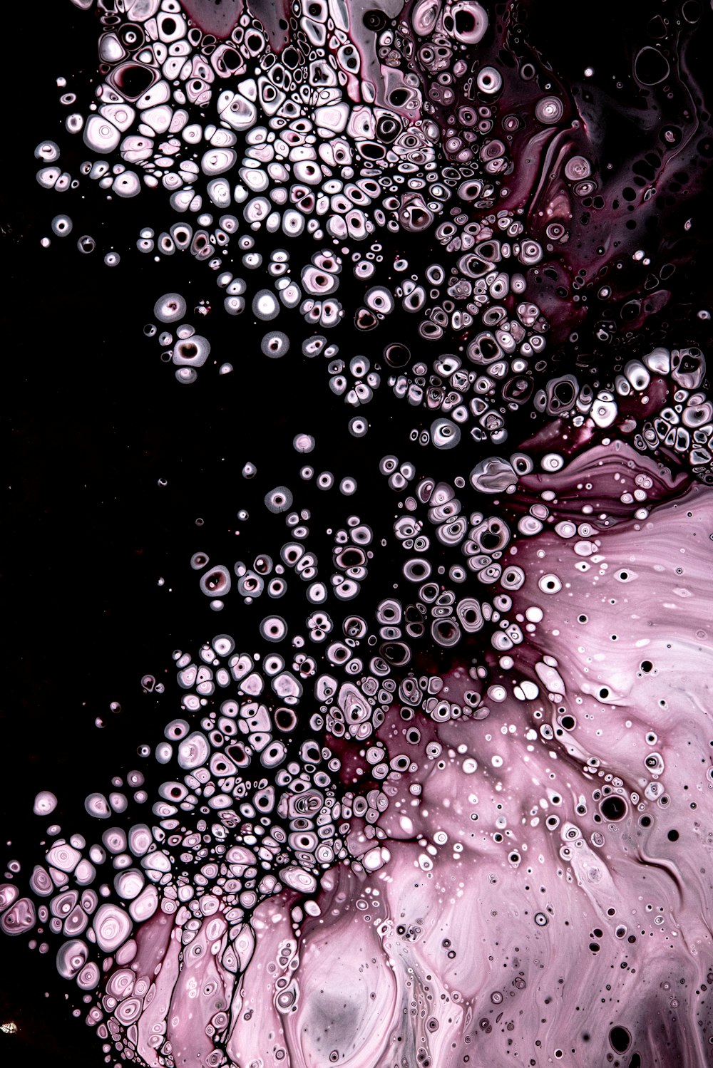 pink and white water droplets