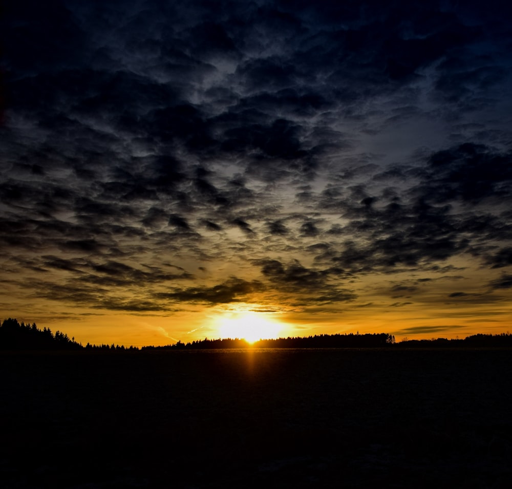 silhouette of trees during sunset