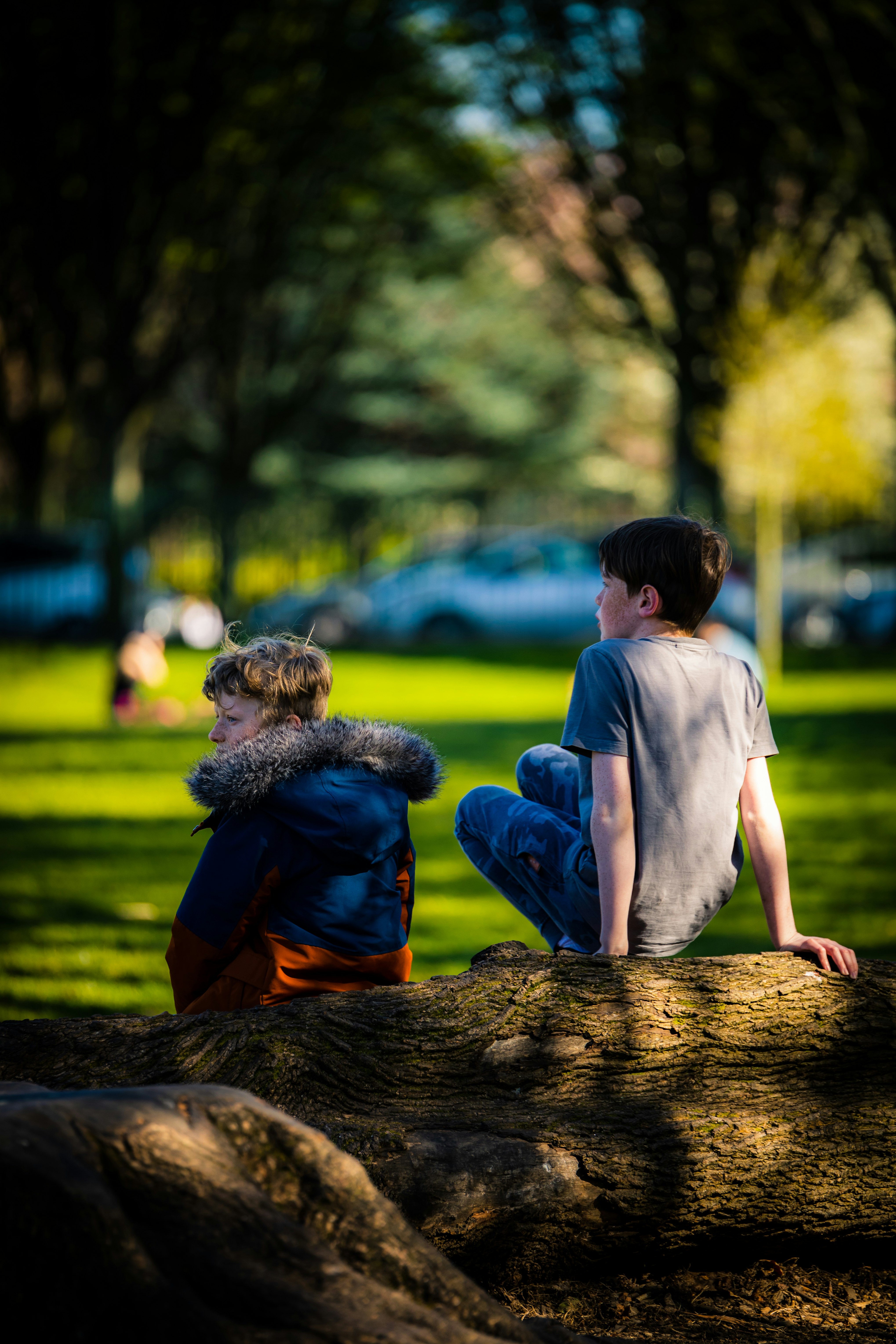 man and woman sitting on brown log near green grass field during daytime