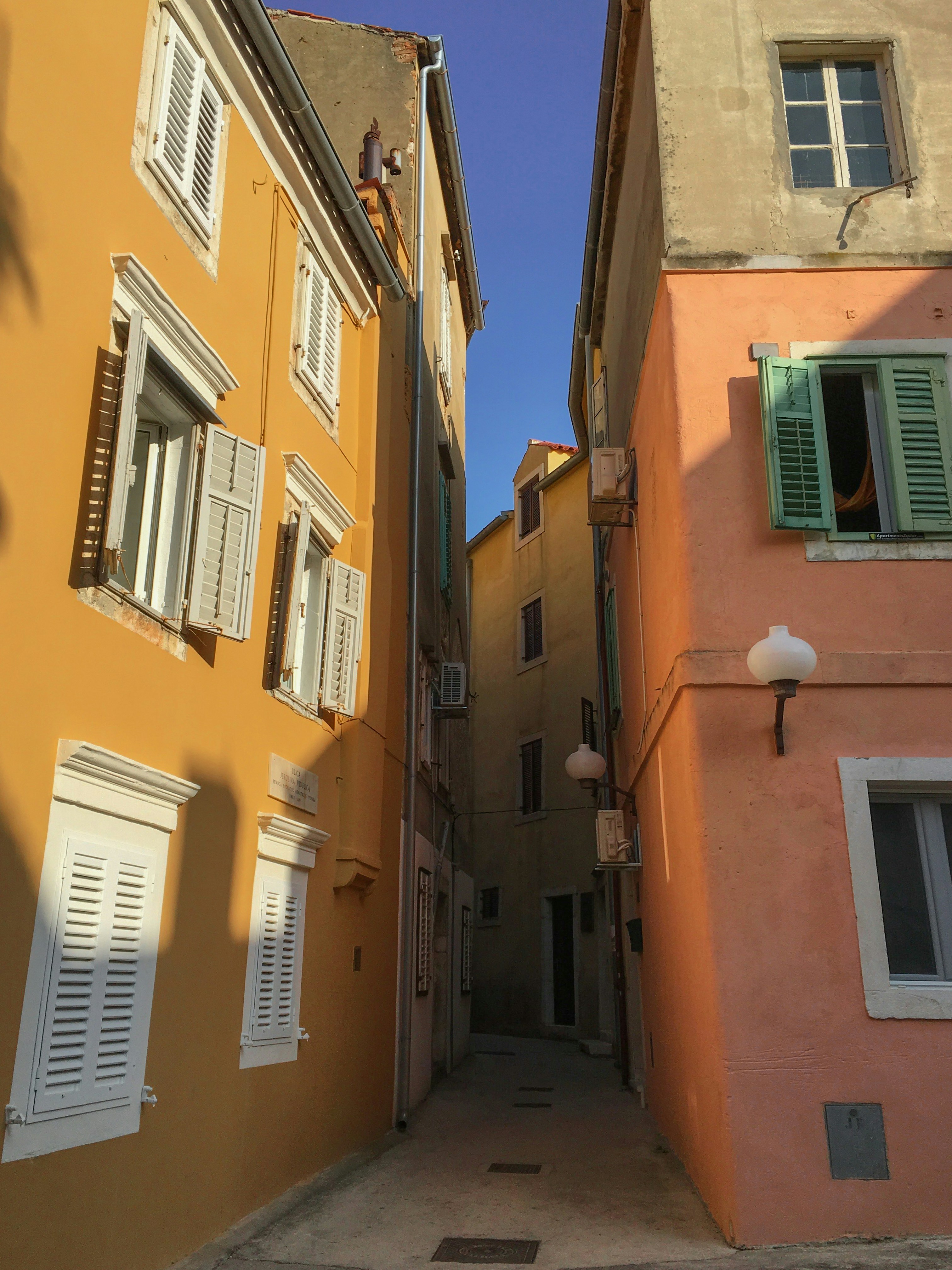 Photo by matchaforest