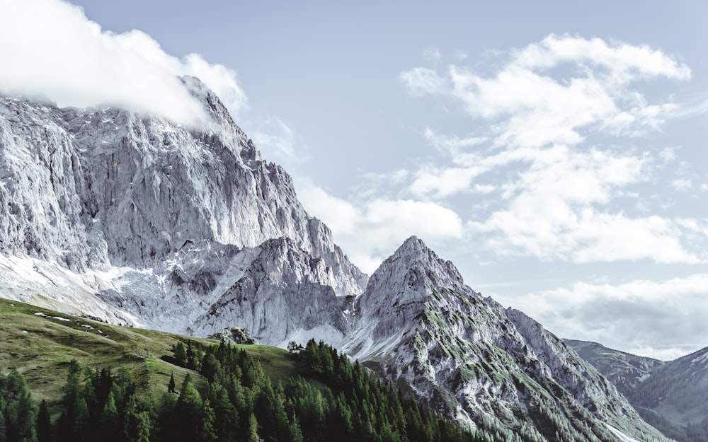 green trees near snow covered mountain during daytime