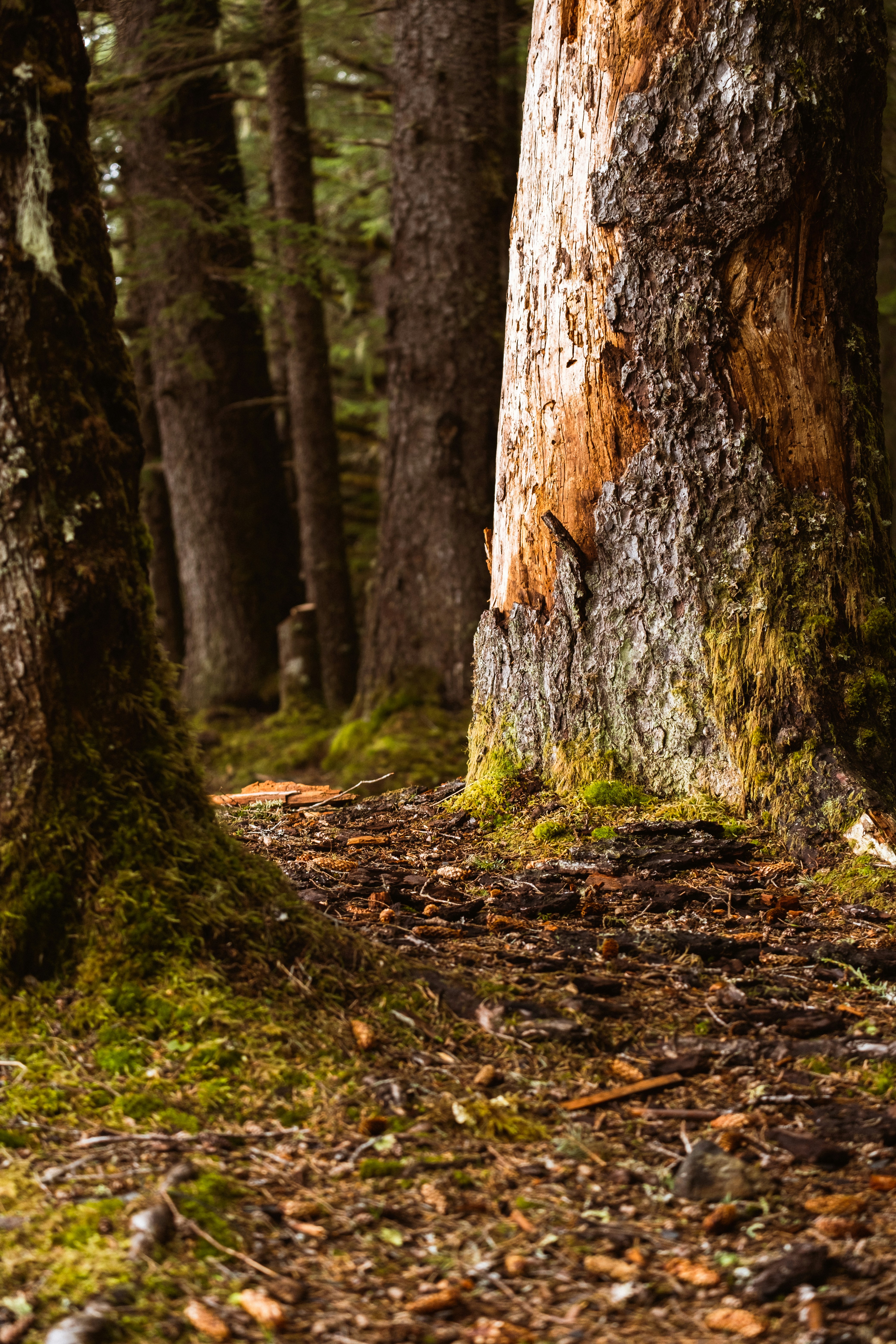 Photo by northernstatemedia