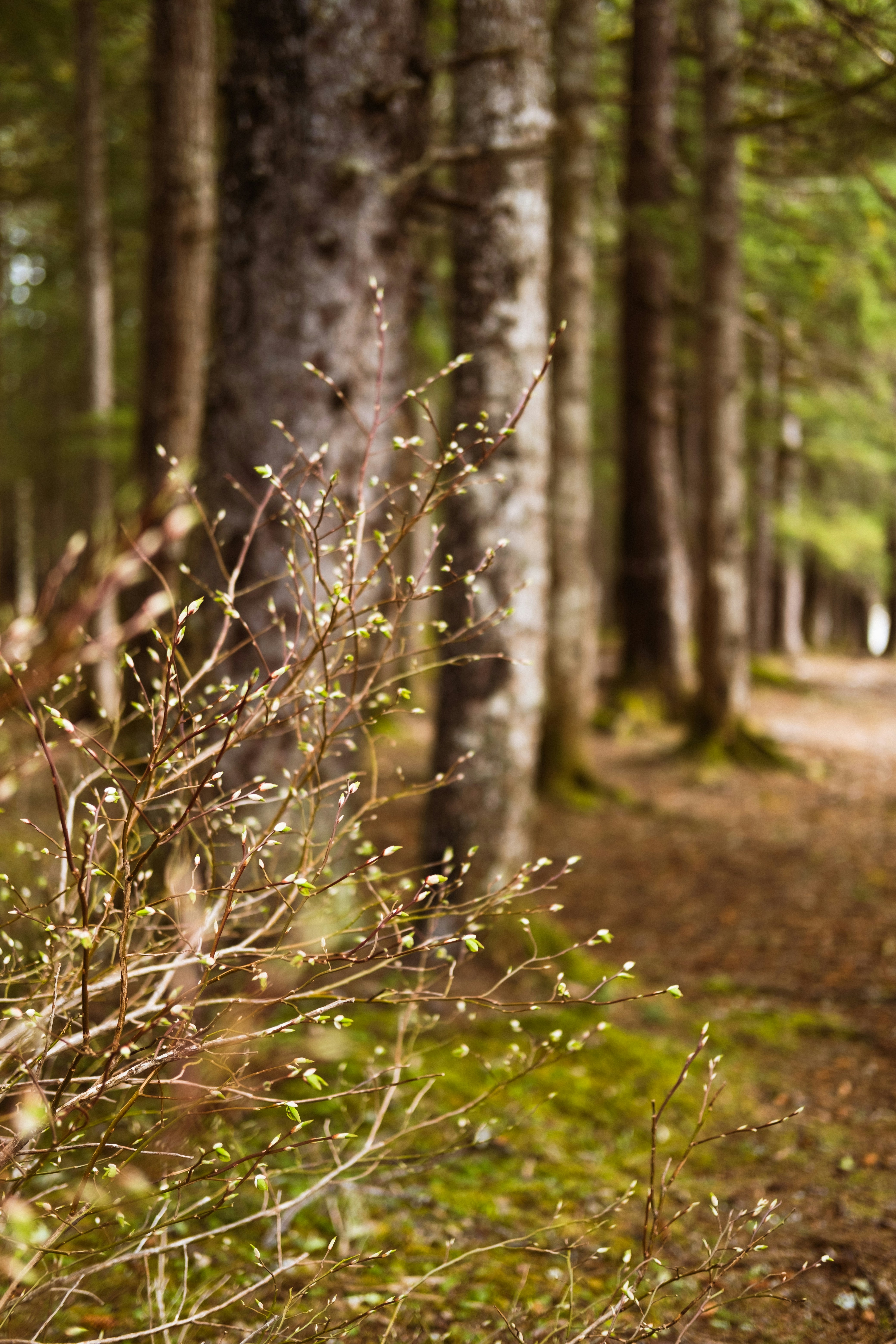 Photo by northernstatemedia