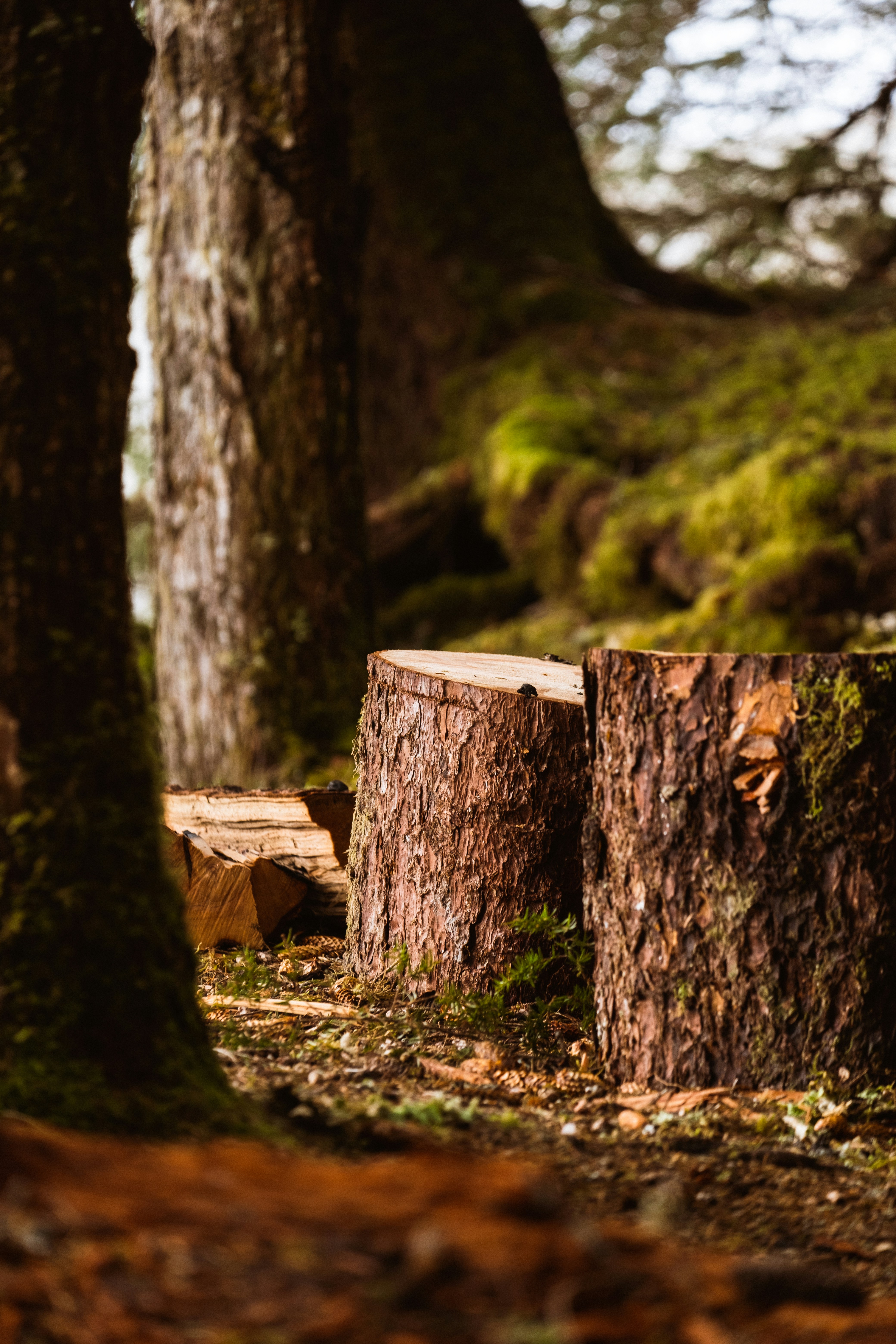 Photo by northernstatemedia