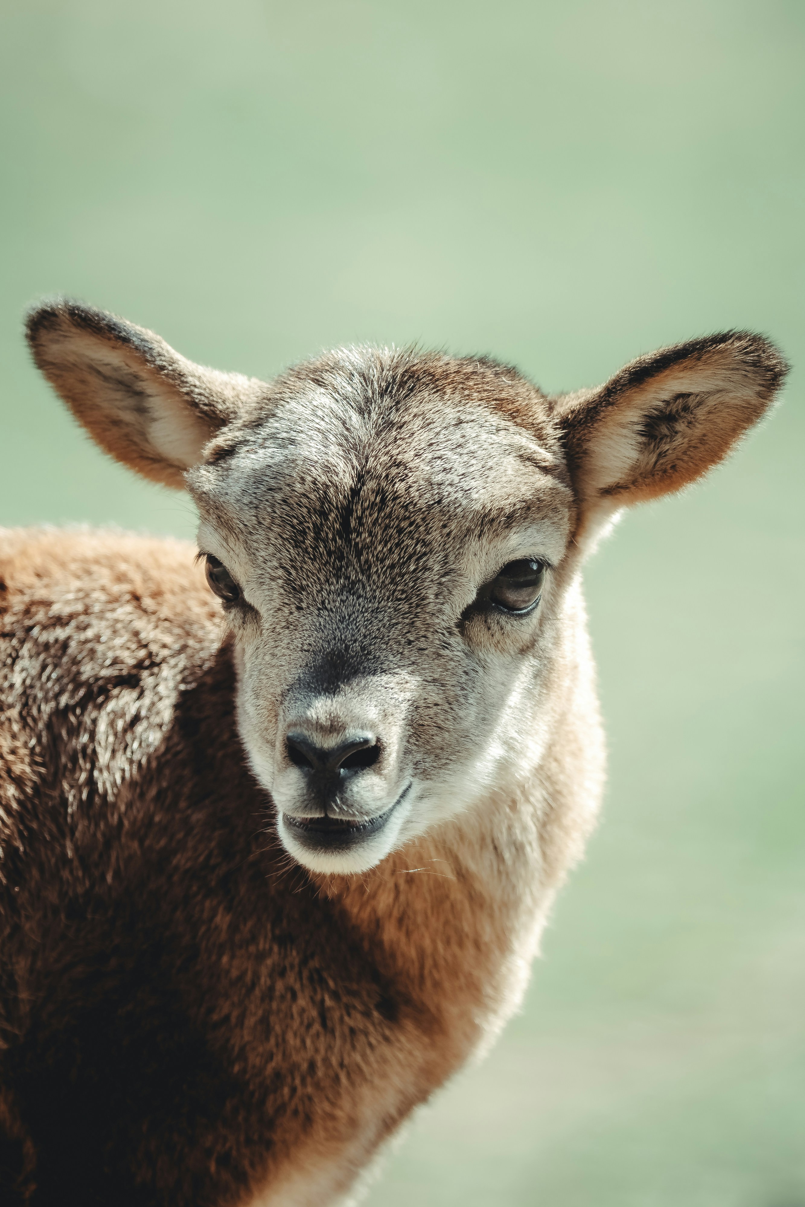 Photo by daniels_photofactory