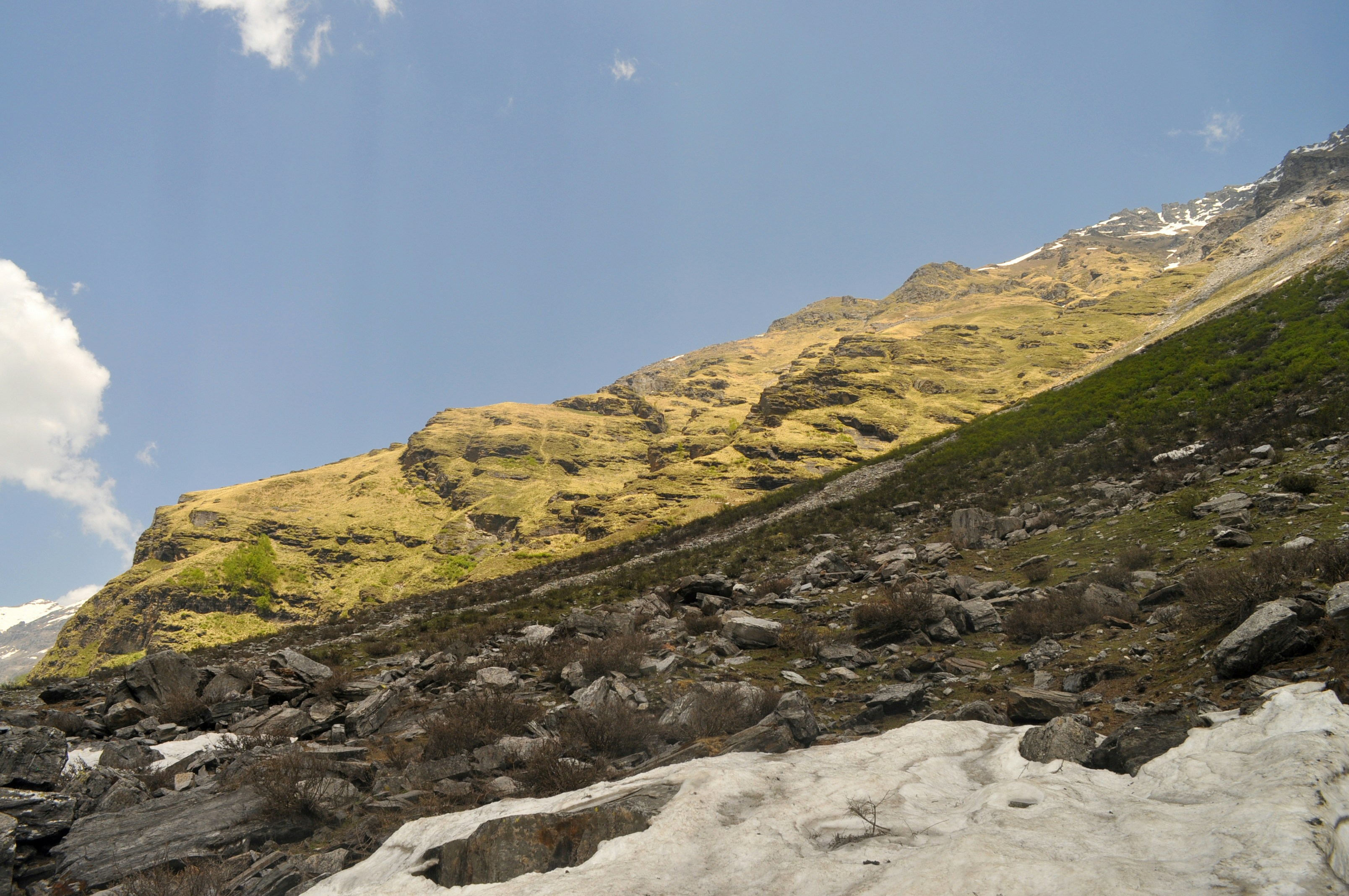 Photo by neildesouza427