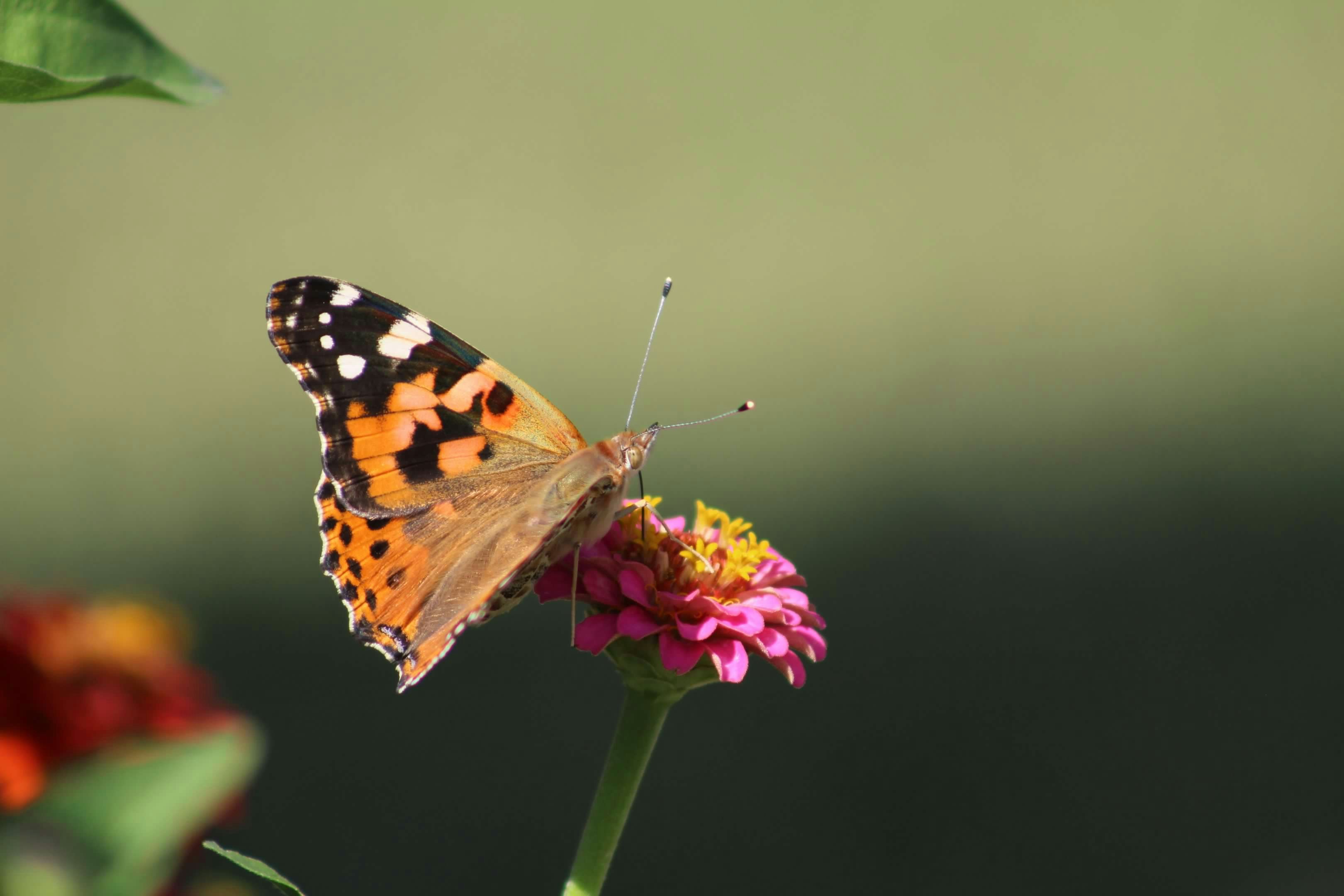 Photo by abigailkaucher