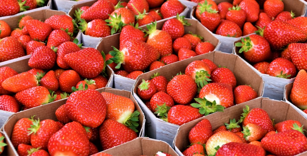 strawberries in gray plastic container