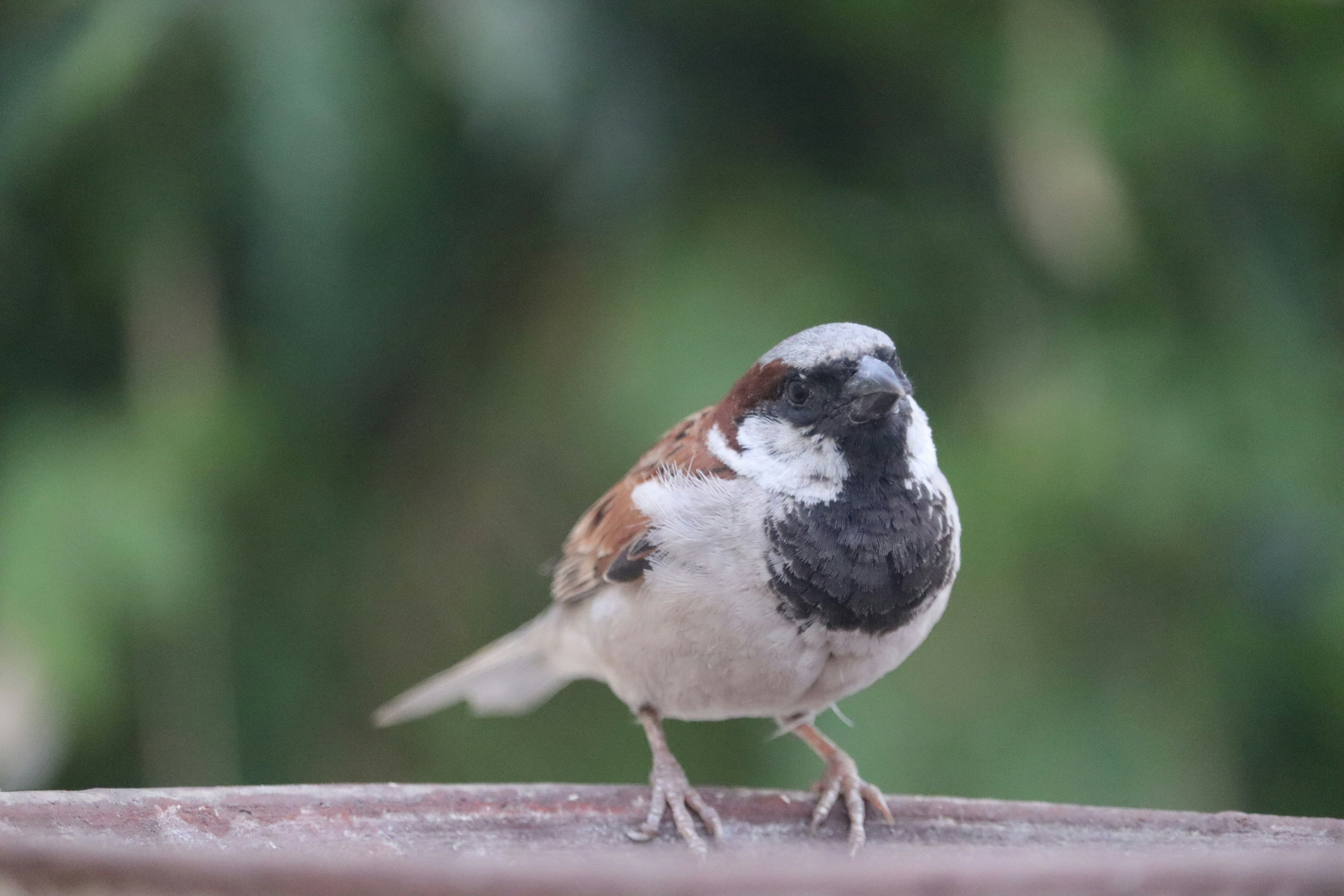 Photo by ravilakhtariya