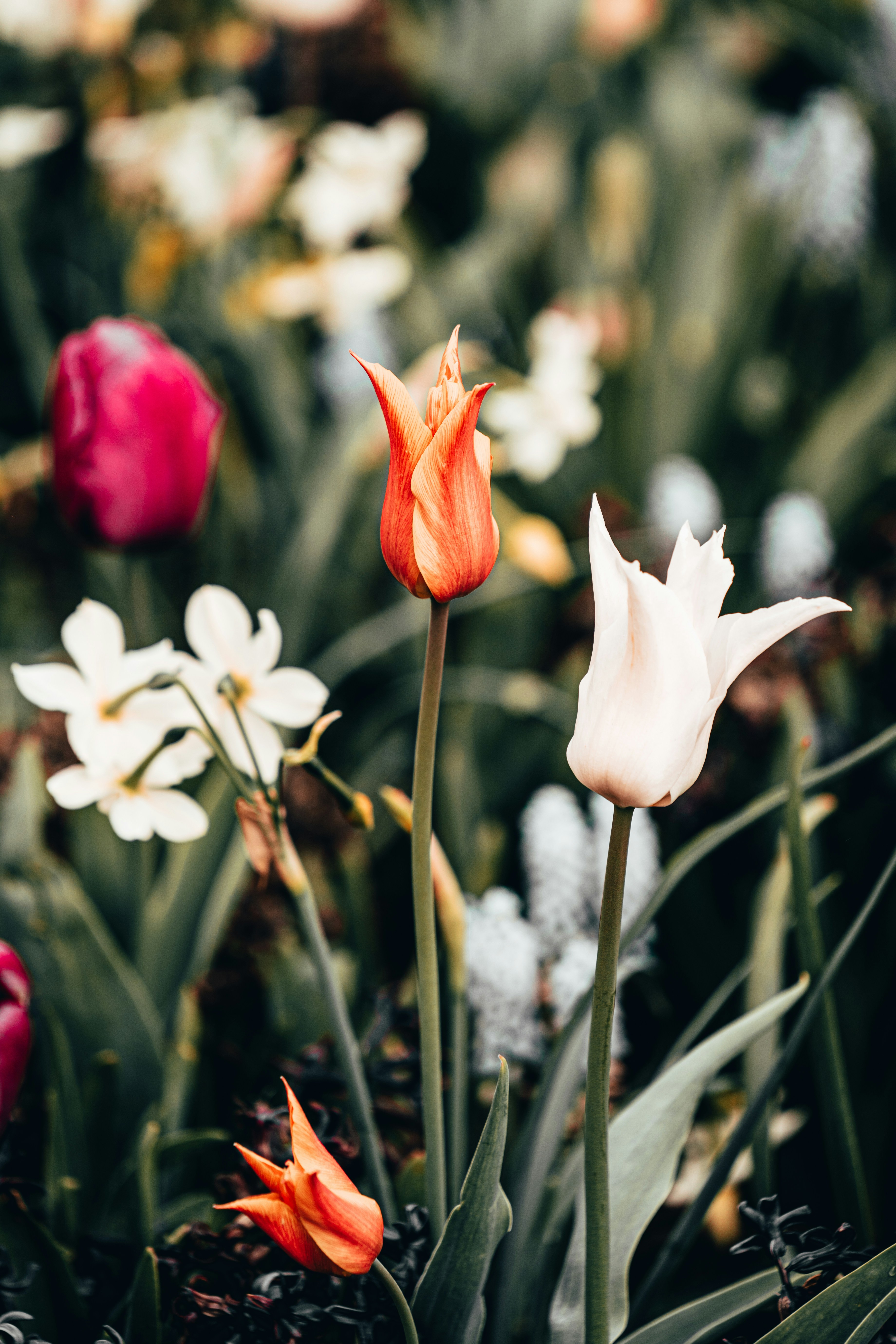 Photo by emilwidlund