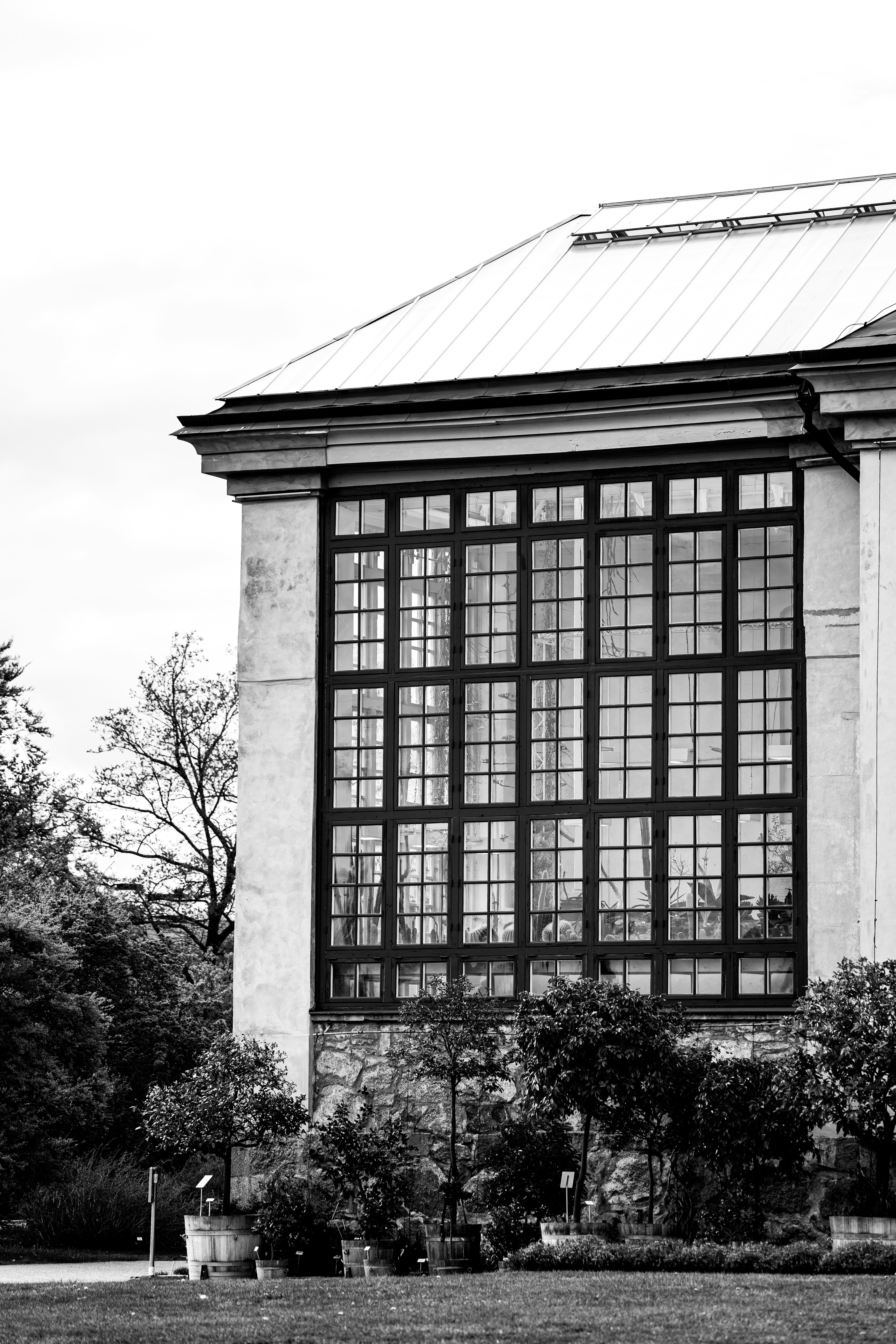 Photo by emilwidlund