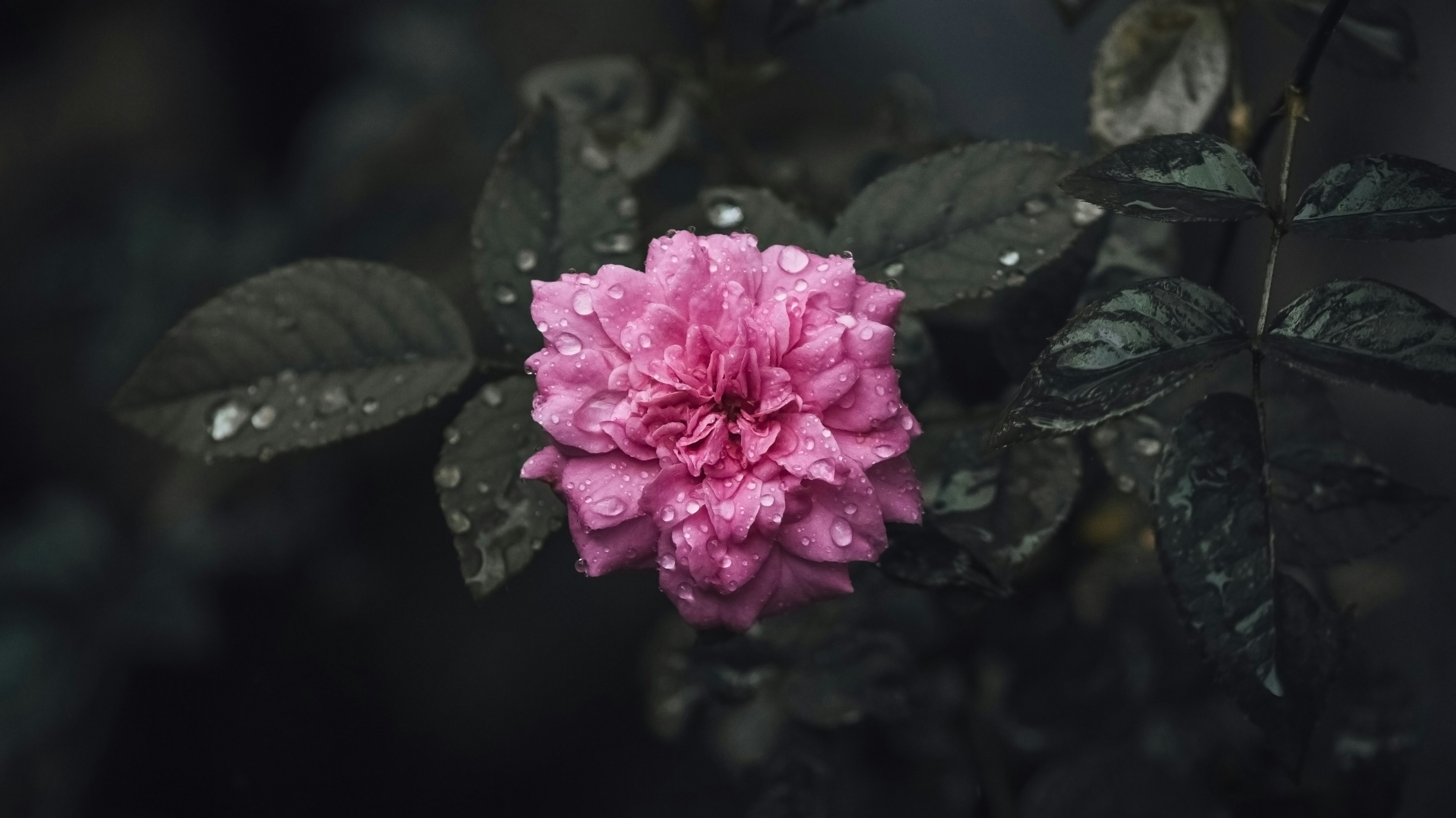 rainy day wallpaper, wallpaper, Rainy Season Airport Outfits: Travel in Style 2