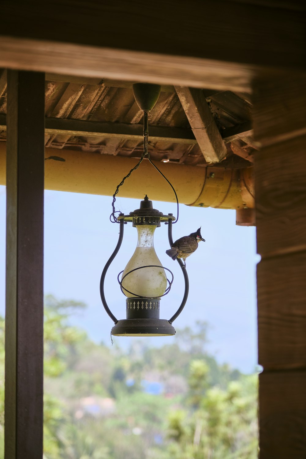 black and white lamp hanging on brown wooden post during daytime