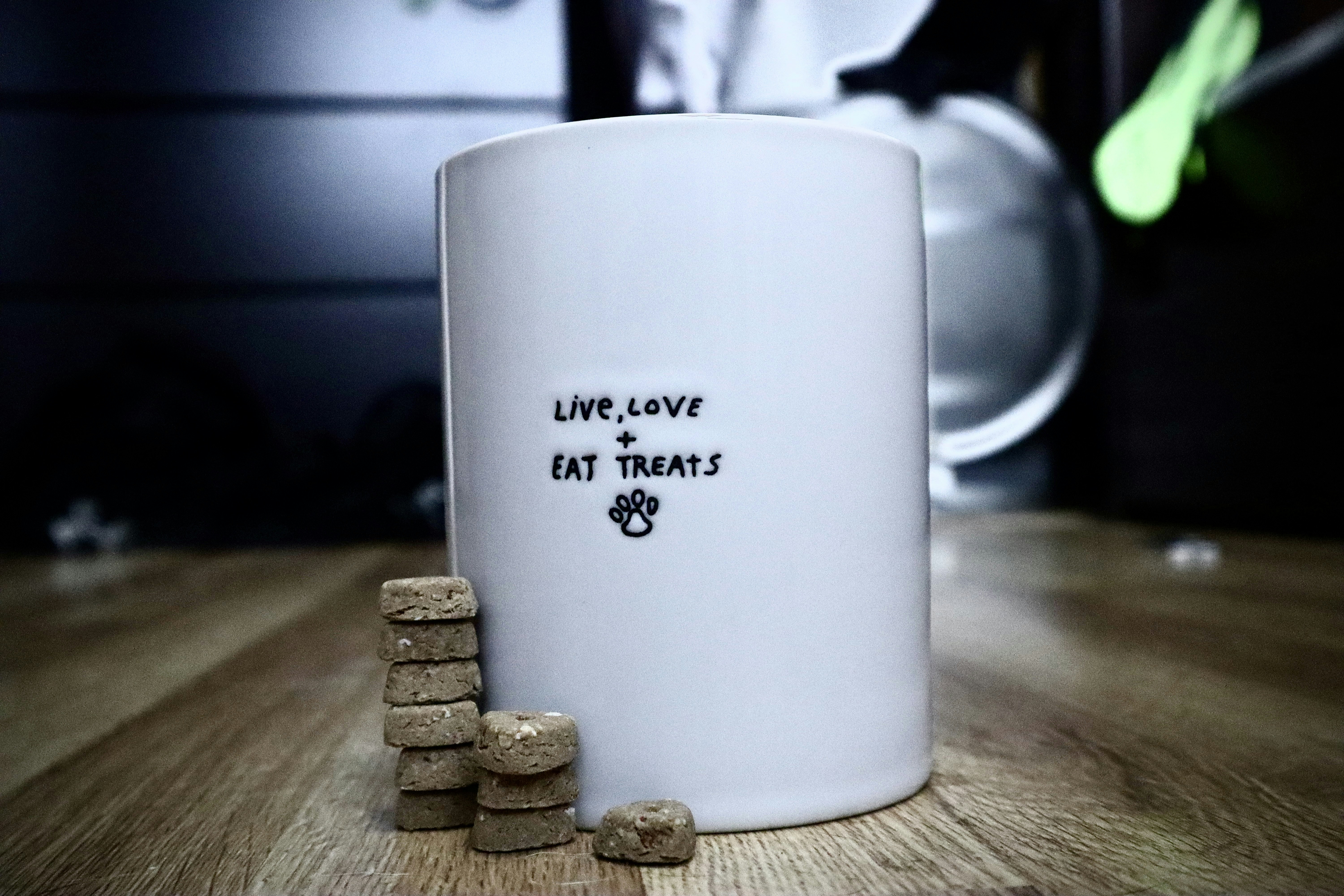 Paws & Play Mug
