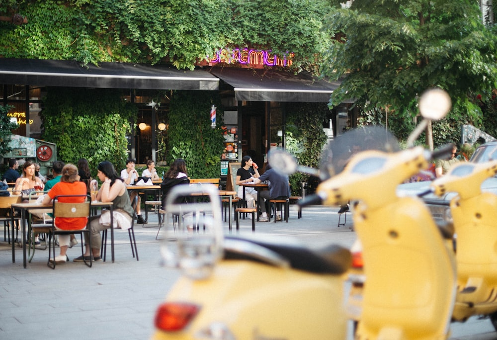 people sitting on chair near green trees during daytime