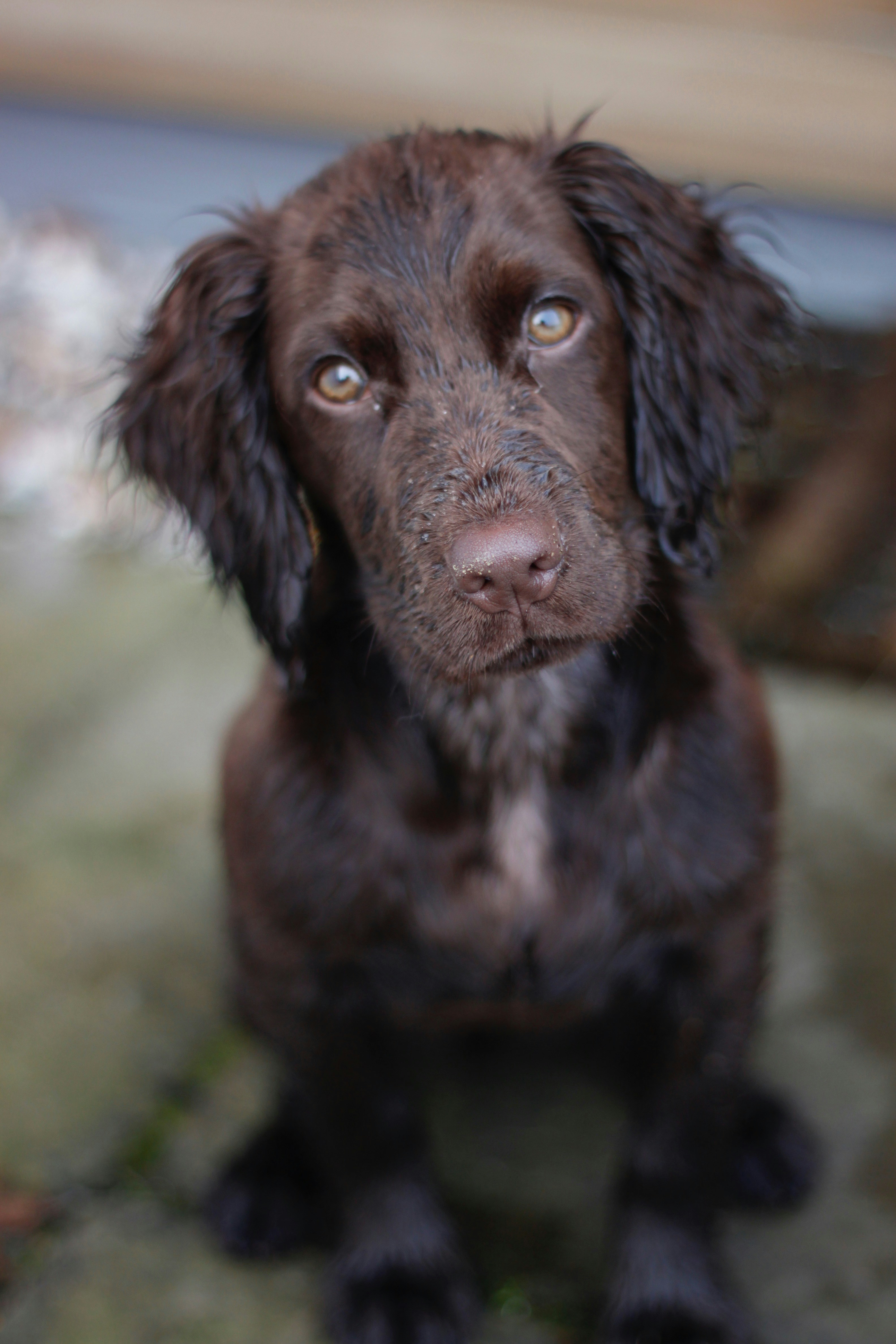 Photo by albertandfrederick