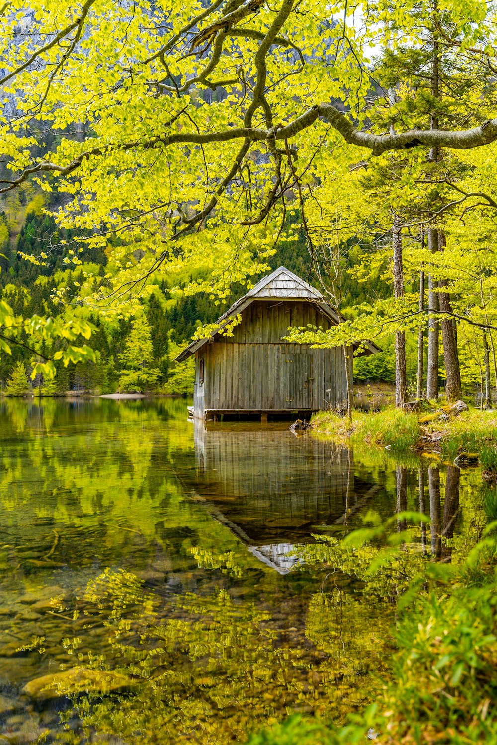 Maison en bois brun sur le lac près d’arbres verts pendant la journée
