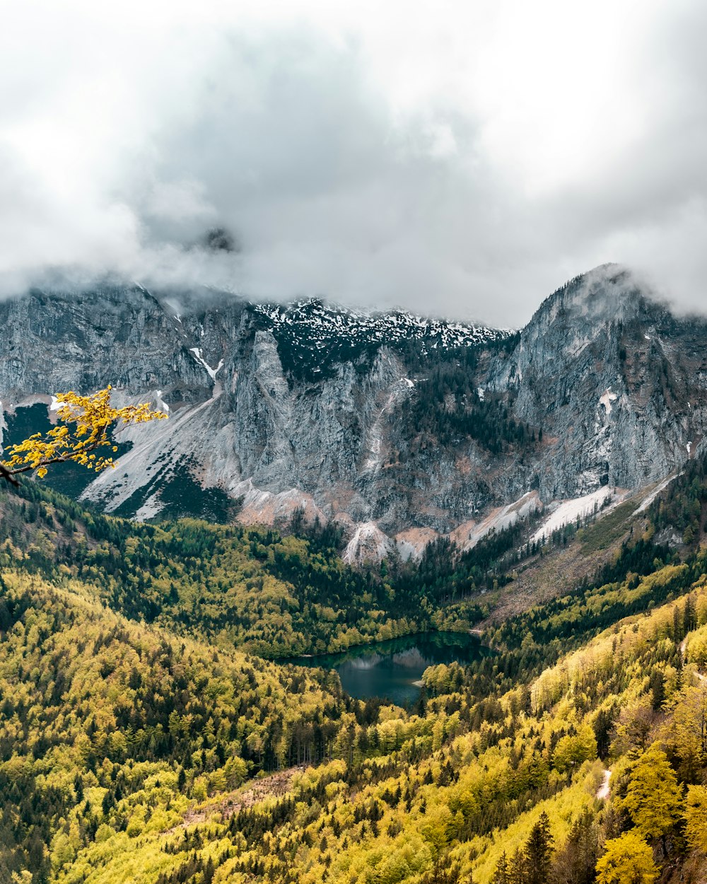 green trees on mountain under cloudy sky during daytime