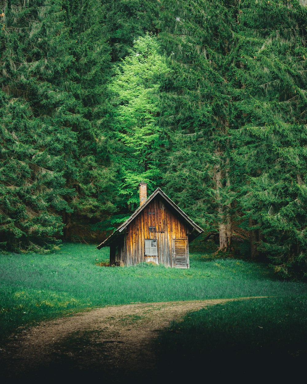 Braunes Holzhaus mitten im Wald