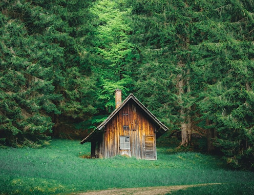 brown wooden house in the middle of forest