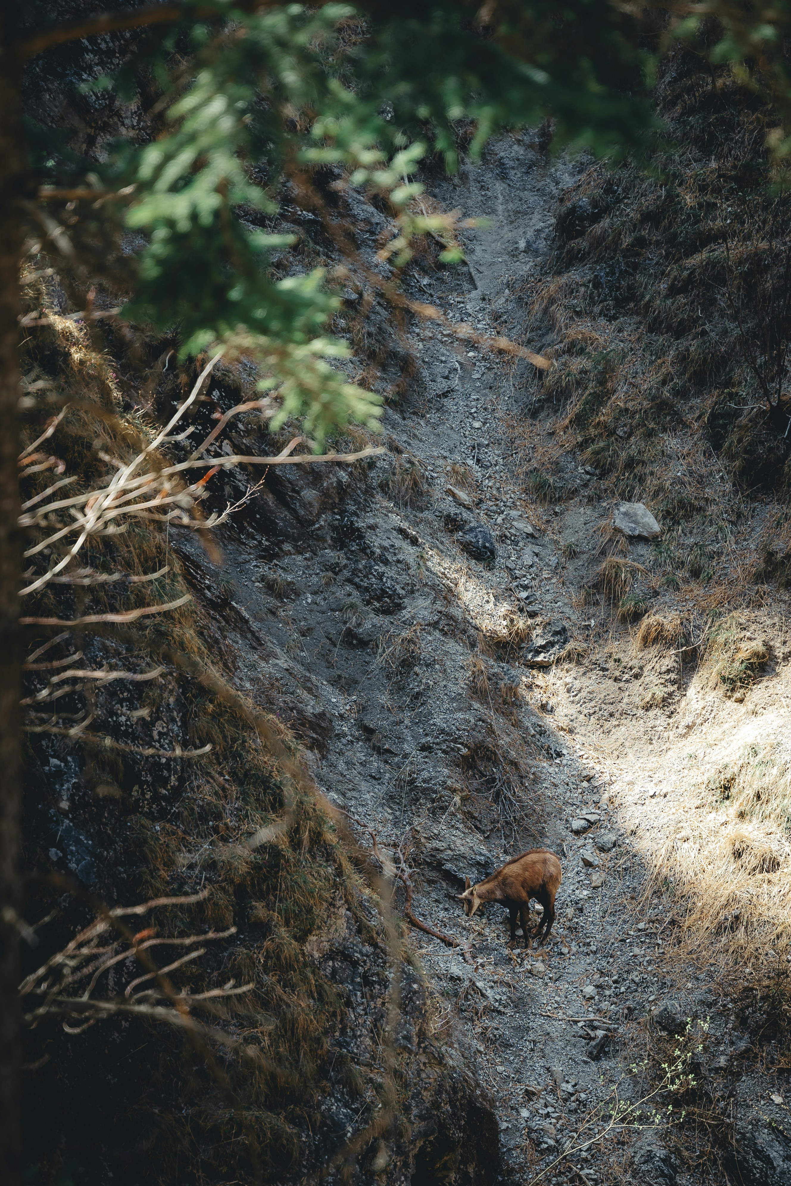 Photo by daniels_photofactory