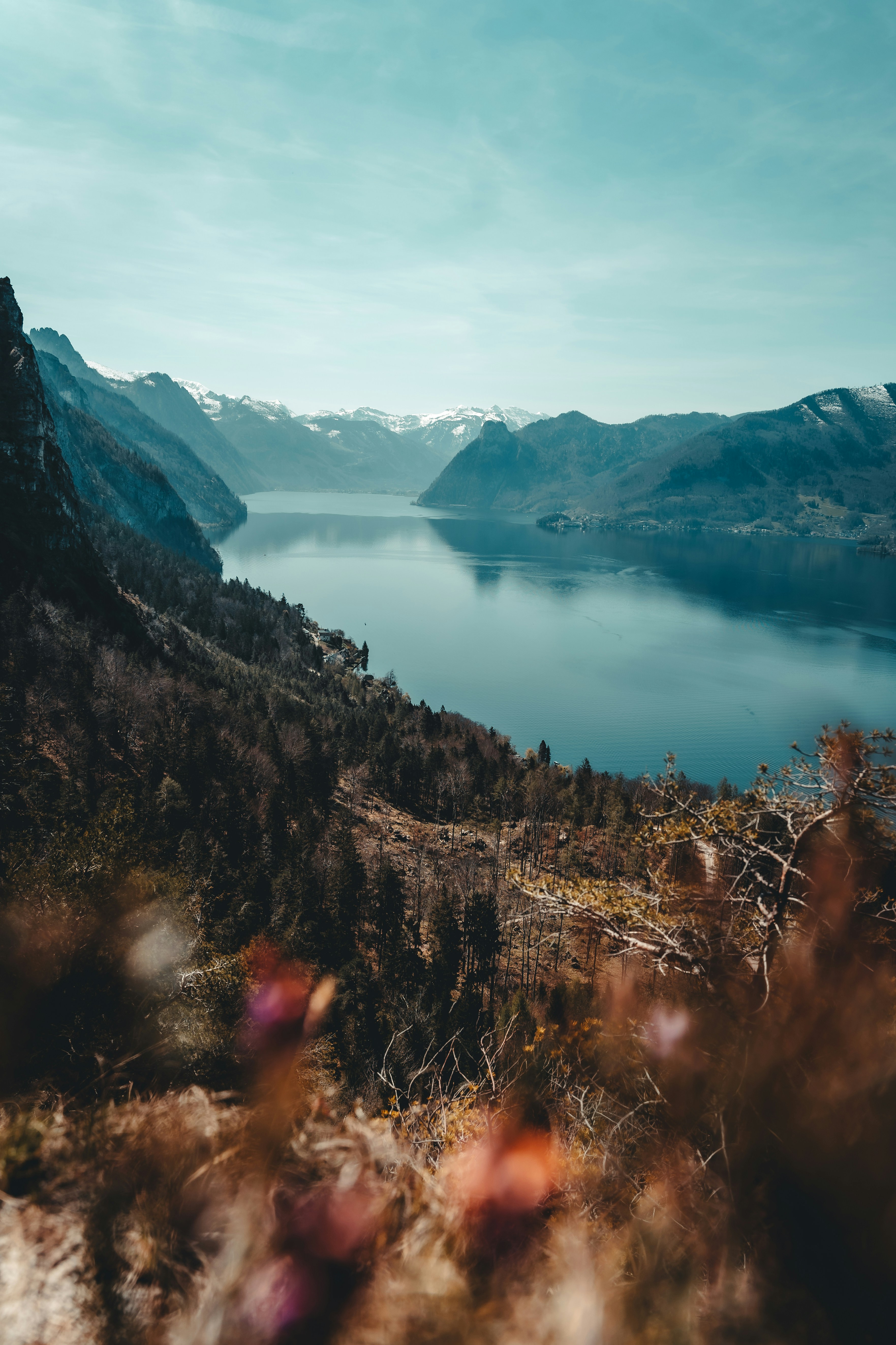 Photo by daniels_photofactory