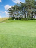 A lush green golf course with a flagstick indicating a hole. The backdrop consists of a dense row of tall trees under a partly cloudy blue sky.