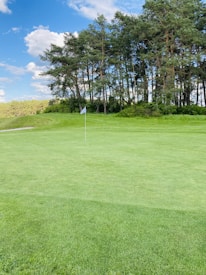 A lush green golf course with a flagstick indicating a hole. The backdrop consists of a dense row of tall trees under a partly cloudy blue sky.
