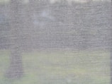 A mesh or screen material is captured up close, revealing its texture. Beyond the mesh, a blurred background suggests a natural outdoor setting, possibly with trees and grass.