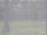 A mesh or screen material is captured up close, revealing its texture. Beyond the mesh, a blurred background suggests a natural outdoor setting, possibly with trees and grass.