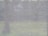 A mesh or screen material is captured up close, revealing its texture. Beyond the mesh, a blurred background suggests a natural outdoor setting, possibly with trees and grass.