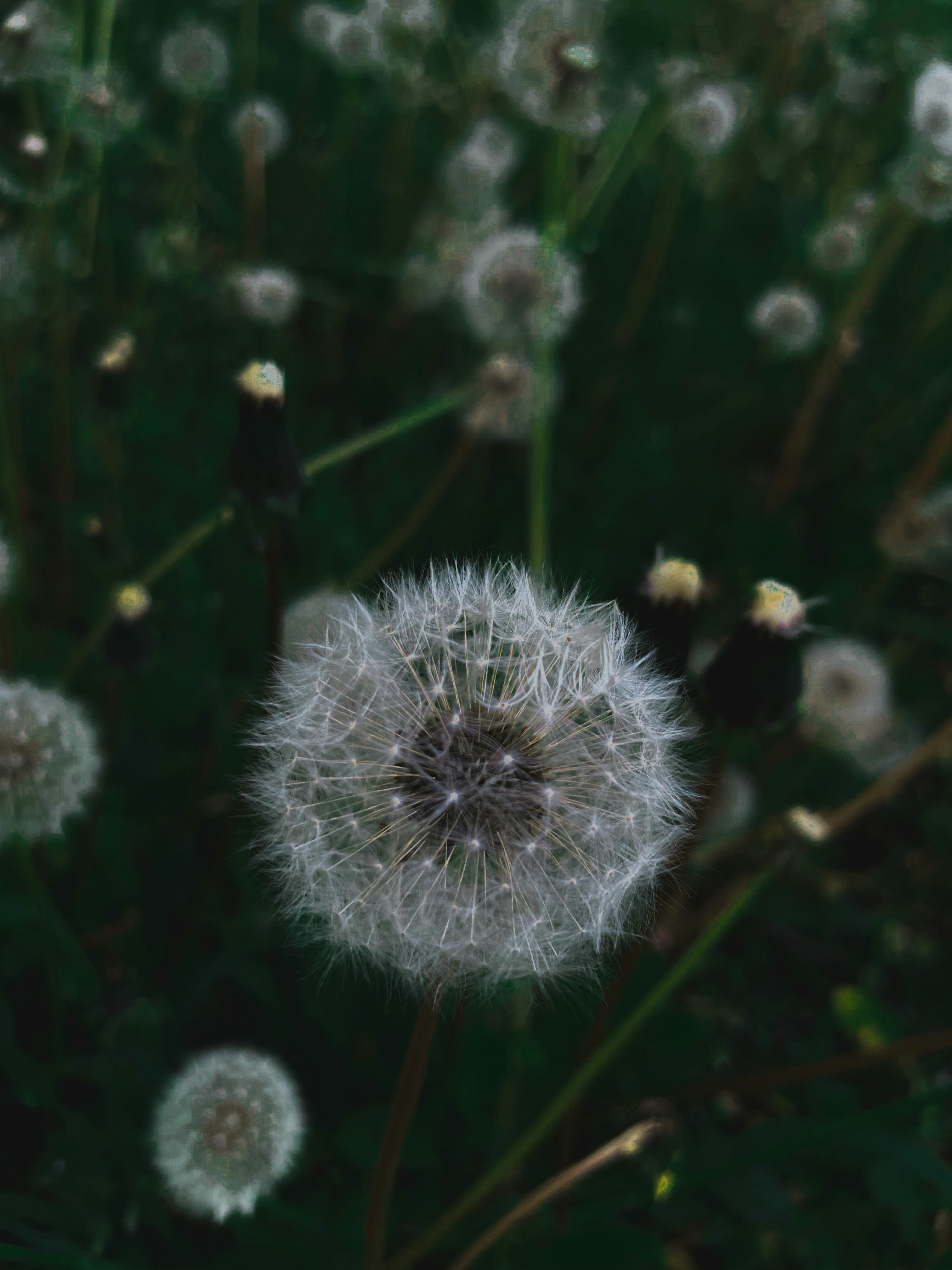 Photo by katekasiutich