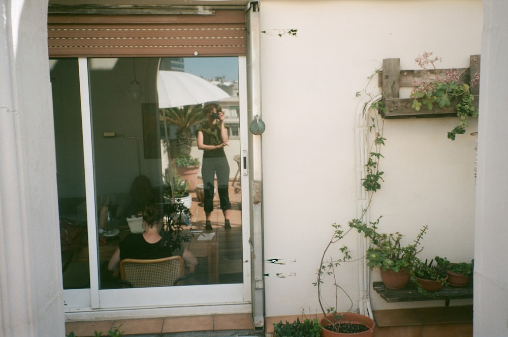 green potted plant beside glass door