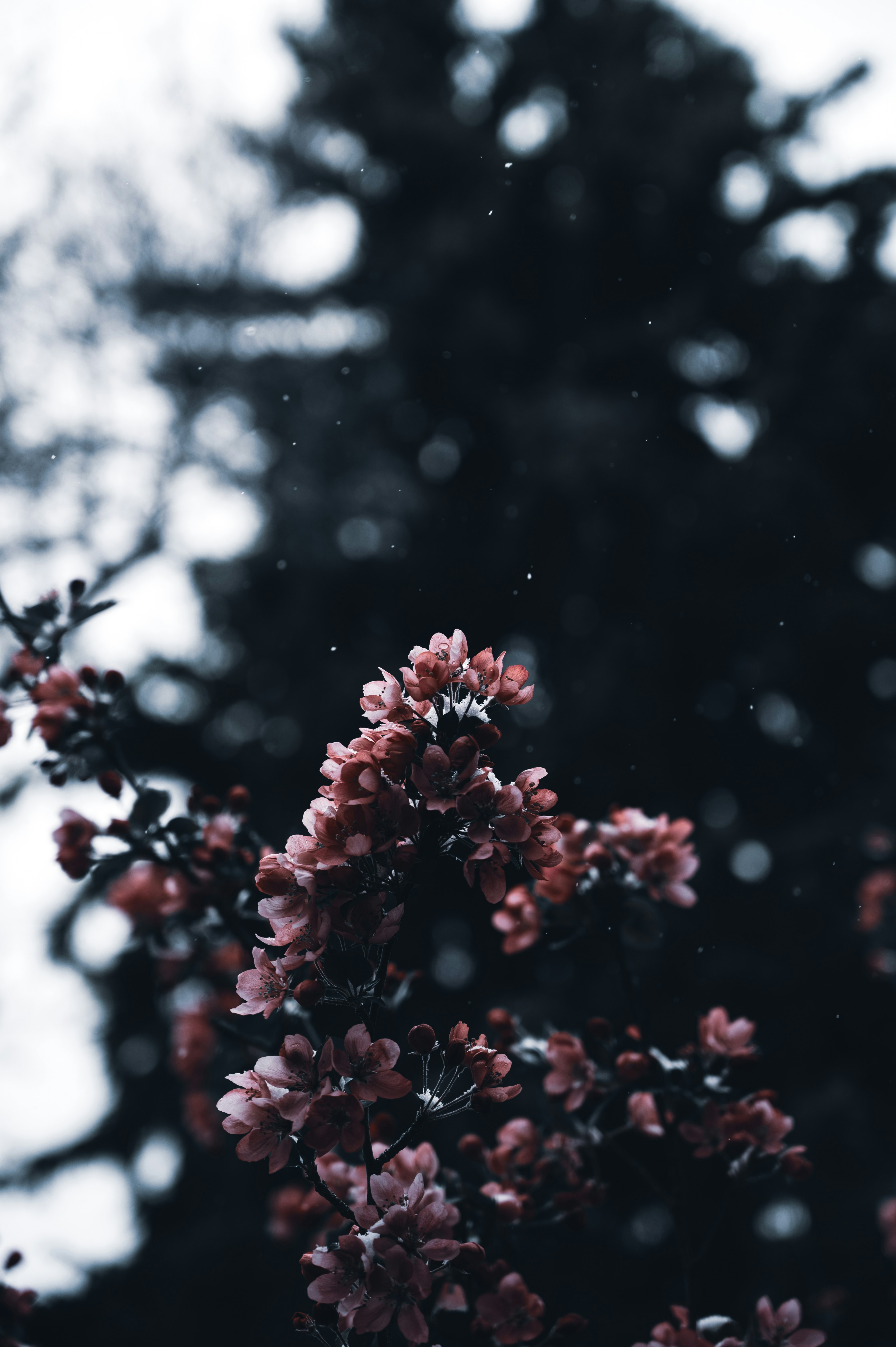 Photo by ryunosuke_kikuno