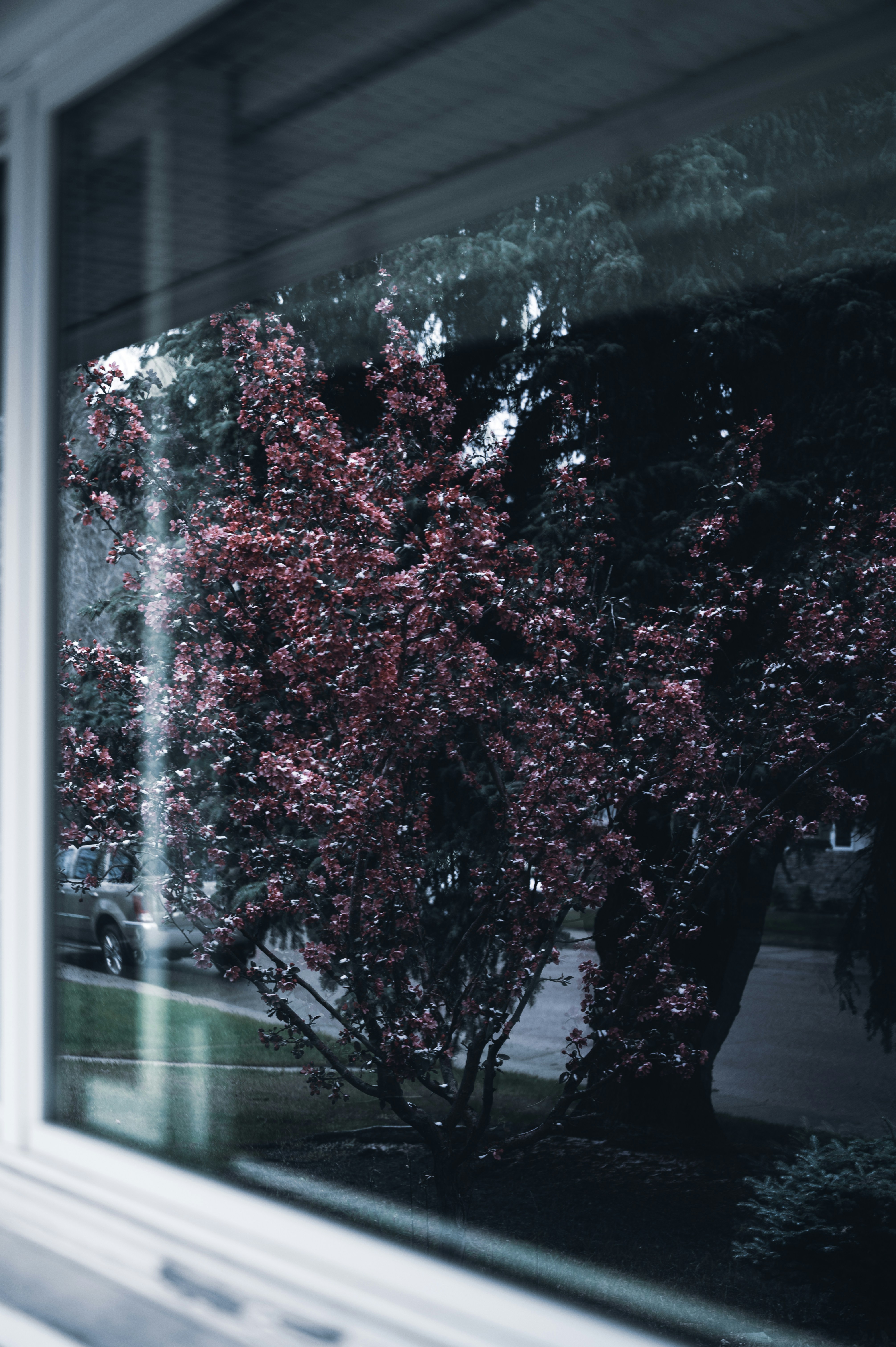 Photo by ryunosuke_kikuno